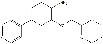 2-(oxan-2-ylmethoxy)-4-phenylcyclohexan-1-amine Struktur