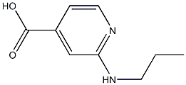 2-(propylamino)pyridine-4-carboxylic acid Struktur