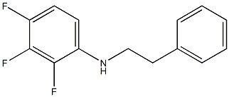 2,3,4-trifluoro-N-(2-phenylethyl)aniline Struktur