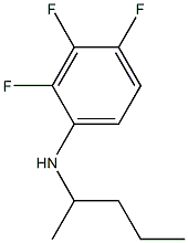 2,3,4-trifluoro-N-(pentan-2-yl)aniline Struktur