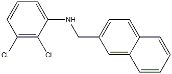 2,3-dichloro-N-(naphthalen-2-ylmethyl)aniline Struktur