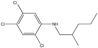 2,4,5-trichloro-N-(2-methylpentyl)aniline Struktur