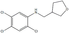 2,4,5-trichloro-N-(oxolan-3-ylmethyl)aniline Struktur