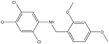 2,4,5-trichloro-N-[(2,4-dimethoxyphenyl)methyl]aniline Struktur