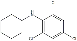 2,4,6-trichloro-N-cyclohexylaniline Struktur