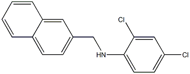 2,4-dichloro-N-(naphthalen-2-ylmethyl)aniline Struktur