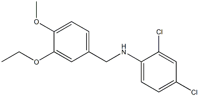 2,4-dichloro-N-[(3-ethoxy-4-methoxyphenyl)methyl]aniline Struktur