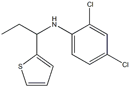 2,4-dichloro-N-[1-(thiophen-2-yl)propyl]aniline Struktur