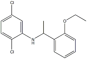 2,5-dichloro-N-[1-(2-ethoxyphenyl)ethyl]aniline Struktur