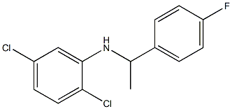 2,5-dichloro-N-[1-(4-fluorophenyl)ethyl]aniline Struktur