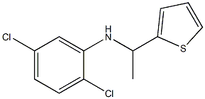 2,5-dichloro-N-[1-(thiophen-2-yl)ethyl]aniline Struktur