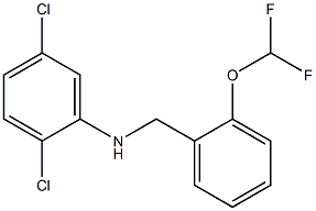 2,5-dichloro-N-{[2-(difluoromethoxy)phenyl]methyl}aniline Struktur