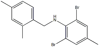 2,6-dibromo-N-[(2,4-dimethylphenyl)methyl]-4-methylaniline Struktur