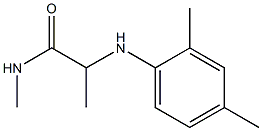 2-[(2,4-dimethylphenyl)amino]-N-methylpropanamide Struktur