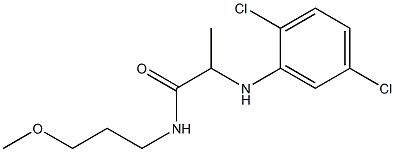 2-[(2,5-dichlorophenyl)amino]-N-(3-methoxypropyl)propanamide Struktur