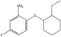 2-[(2-ethylcyclohexyl)oxy]-5-fluoroaniline Struktur