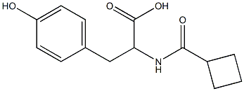 2-[(cyclobutylcarbonyl)amino]-3-(4-hydroxyphenyl)propanoic acid Struktur