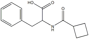 2-[(cyclobutylcarbonyl)amino]-3-phenylpropanoic acid Struktur