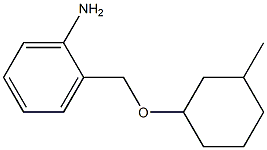 2-{[(3-methylcyclohexyl)oxy]methyl}aniline Struktur