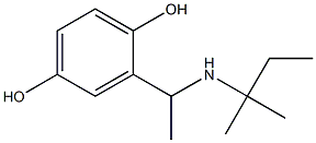 2-{1-[(2-methylbutan-2-yl)amino]ethyl}benzene-1,4-diol Struktur