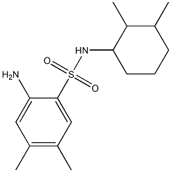 2-amino-N-(2,3-dimethylcyclohexyl)-4,5-dimethylbenzene-1-sulfonamide Struktur