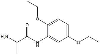 2-amino-N-(2,5-diethoxyphenyl)propanamide Struktur