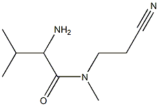 2-amino-N-(2-cyanoethyl)-N,3-dimethylbutanamide Struktur