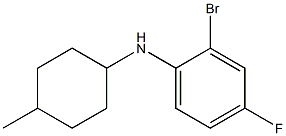 2-bromo-4-fluoro-N-(4-methylcyclohexyl)aniline Struktur