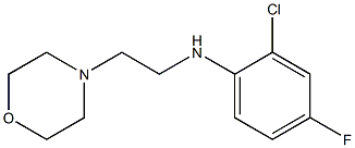 2-chloro-4-fluoro-N-[2-(morpholin-4-yl)ethyl]aniline Struktur