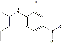 2-chloro-4-nitro-N-(pentan-2-yl)aniline Struktur