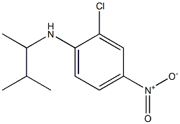 2-chloro-N-(3-methylbutan-2-yl)-4-nitroaniline Struktur