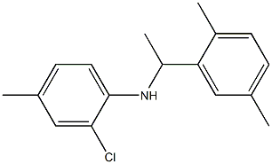 2-chloro-N-[1-(2,5-dimethylphenyl)ethyl]-4-methylaniline Struktur