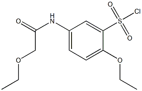 2-ethoxy-5-(2-ethoxyacetamido)benzene-1-sulfonyl chloride Struktur