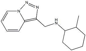 2-methyl-N-{[1,2,4]triazolo[3,4-a]pyridin-3-ylmethyl}cyclohexan-1-amine Struktur