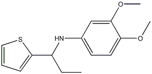 3,4-dimethoxy-N-[1-(thiophen-2-yl)propyl]aniline Struktur