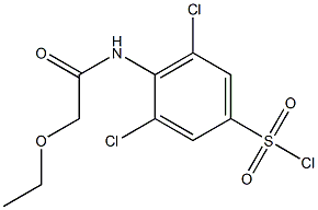 3,5-dichloro-4-(2-ethoxyacetamido)benzene-1-sulfonyl chloride Struktur