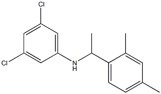 3,5-dichloro-N-[1-(2,4-dimethylphenyl)ethyl]aniline Struktur