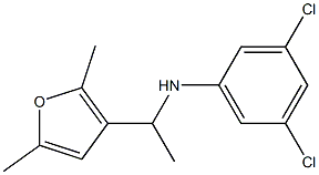 3,5-dichloro-N-[1-(2,5-dimethylfuran-3-yl)ethyl]aniline Struktur