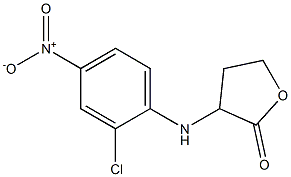 3-[(2-chloro-4-nitrophenyl)amino]oxolan-2-one Struktur