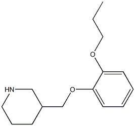 3-[(2-propoxyphenoxy)methyl]piperidine Struktur