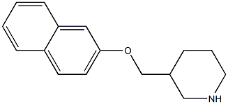 3-[(naphthalen-2-yloxy)methyl]piperidine Struktur