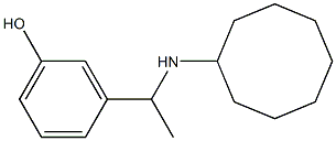 3-[1-(cyclooctylamino)ethyl]phenol Struktur