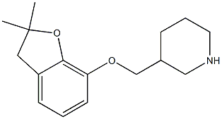 3-{[(2,2-dimethyl-2,3-dihydro-1-benzofuran-7-yl)oxy]methyl}piperidine Struktur