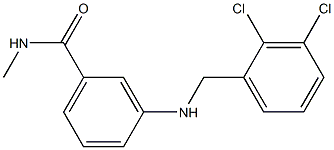 3-{[(2,3-dichlorophenyl)methyl]amino}-N-methylbenzamide Struktur