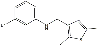 3-bromo-N-[1-(2,5-dimethylthiophen-3-yl)ethyl]aniline Struktur