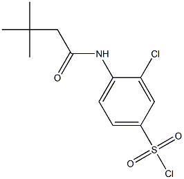 3-chloro-4-(3,3-dimethylbutanamido)benzene-1-sulfonyl chloride Struktur