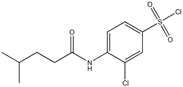 3-chloro-4-(4-methylpentanamido)benzene-1-sulfonyl chloride Struktur