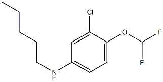 3-chloro-4-(difluoromethoxy)-N-pentylaniline Struktur