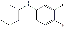 3-chloro-4-fluoro-N-(4-methylpentan-2-yl)aniline Struktur