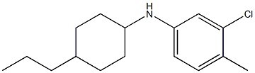 3-chloro-4-methyl-N-(4-propylcyclohexyl)aniline Struktur